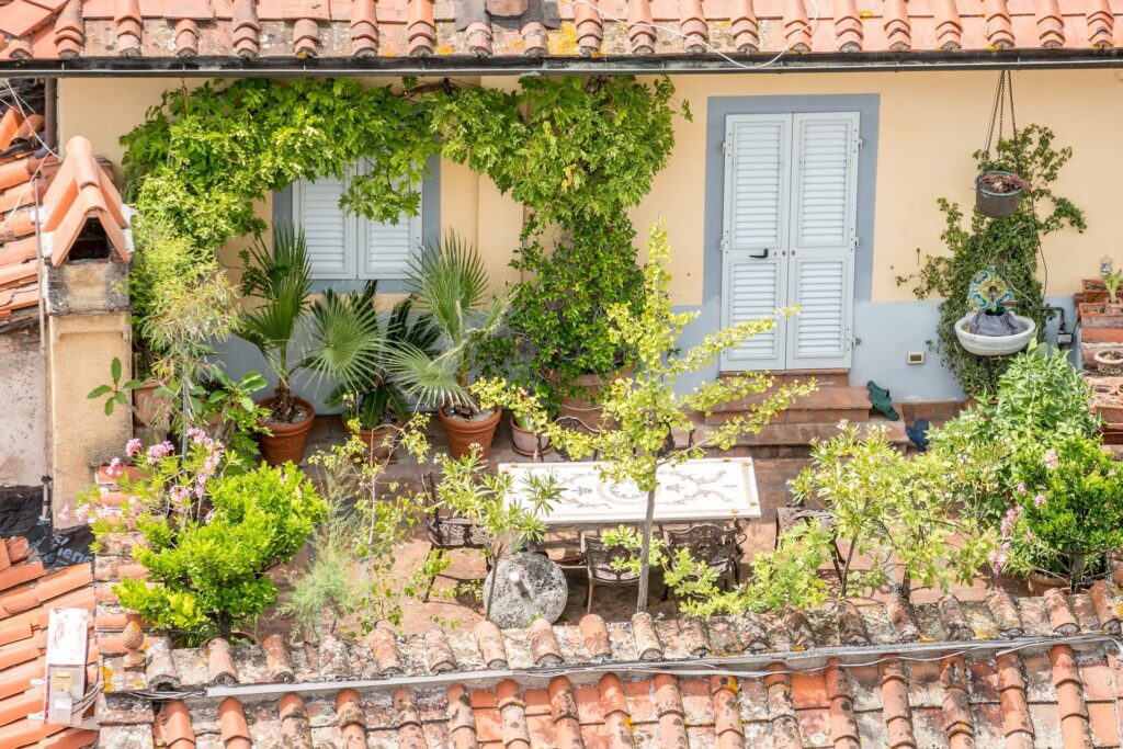 terrasse paysagée, arbres du sud de la France